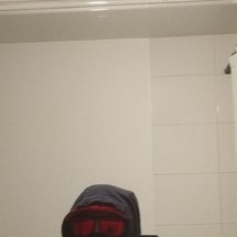 firewolf