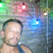 foguinours60