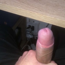 novifo